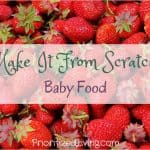 Make It From Scratch:  Baby Food