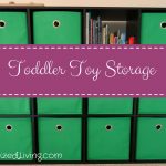 Toddler Toy Storage