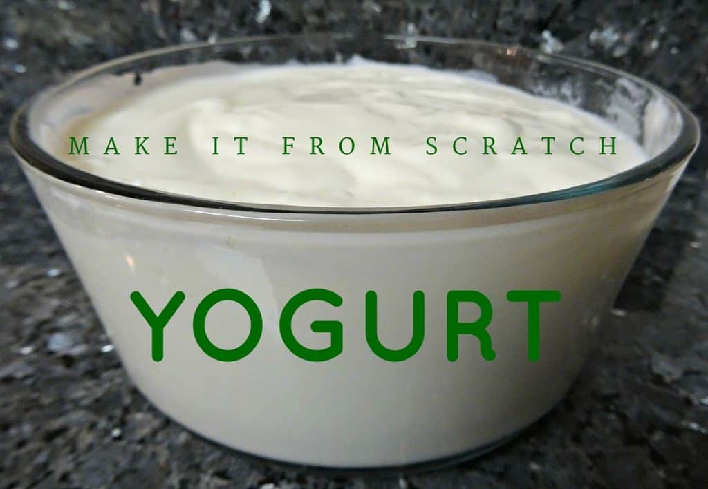 Homemade yogurt