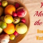 Your Money in the Trash: How to Stop Wasting Food (Part 1)