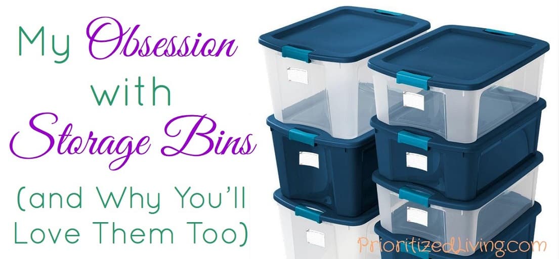 Why We Love Clear Storage Bins