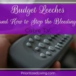 Budget Leeches (and How to Stop the Bleeding):  Cable T.V.
