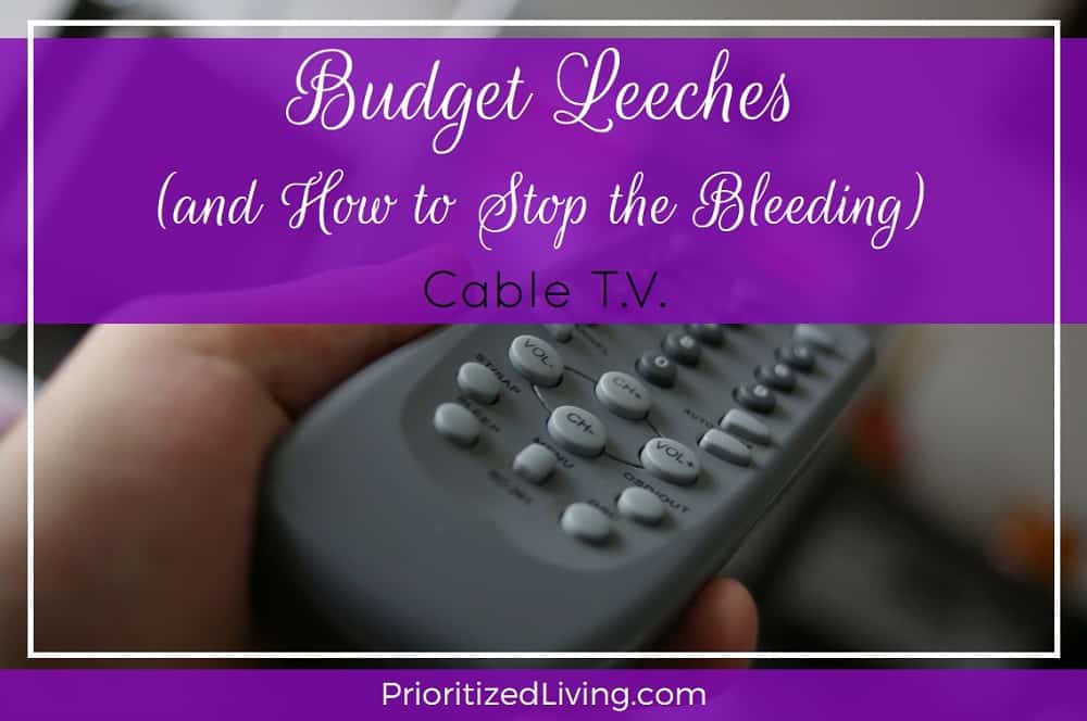 Budget Leeches and How to Stop the Bleeding - Cable TV