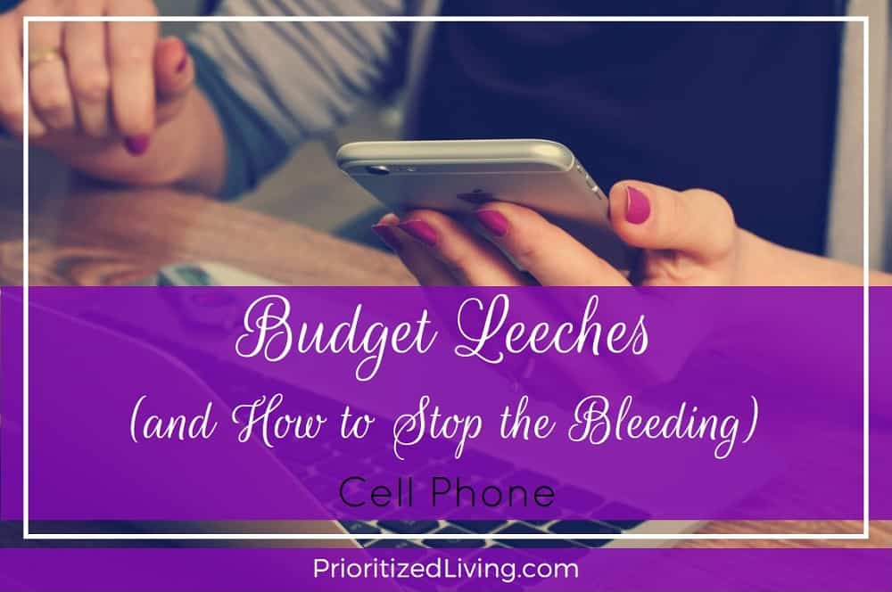 Budget Leeches and How to Stop the Bleeding - Cell Phone
