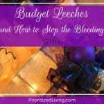 Budget Leeches (and How to Stop the Bleeding):  Part 5