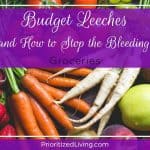 Budget Leeches (and How to Stop the Bleeding):  Groceries