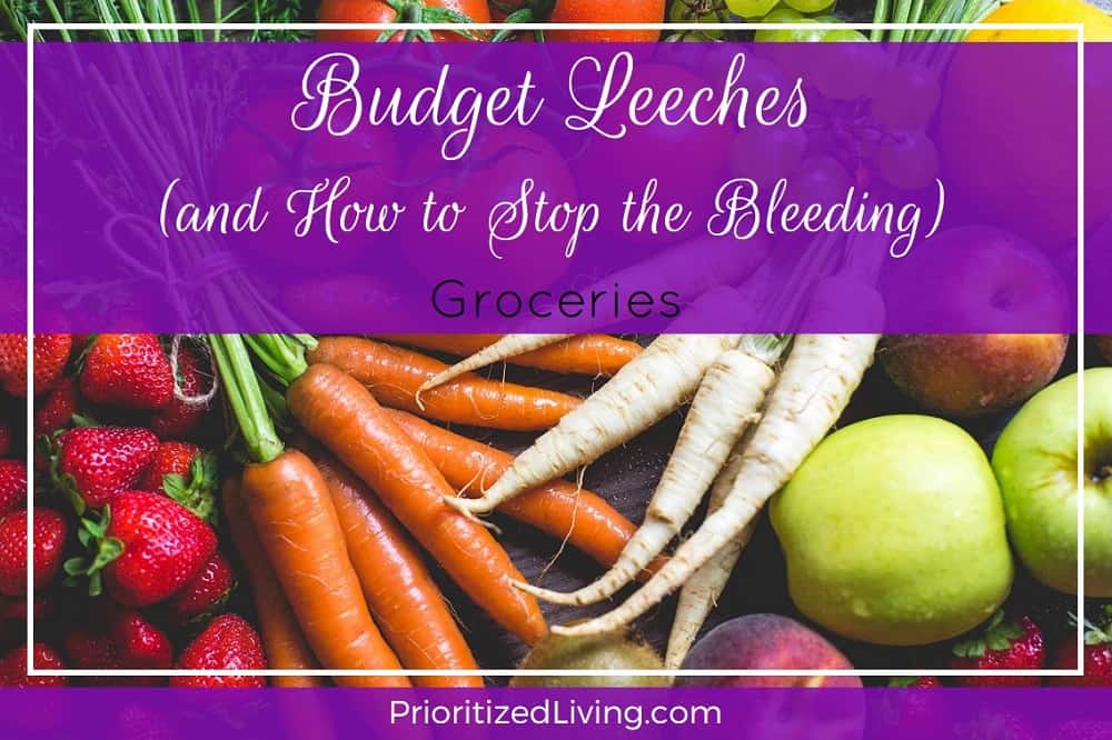 Budget Leeches and How to Stop the Bleeding - Groceries