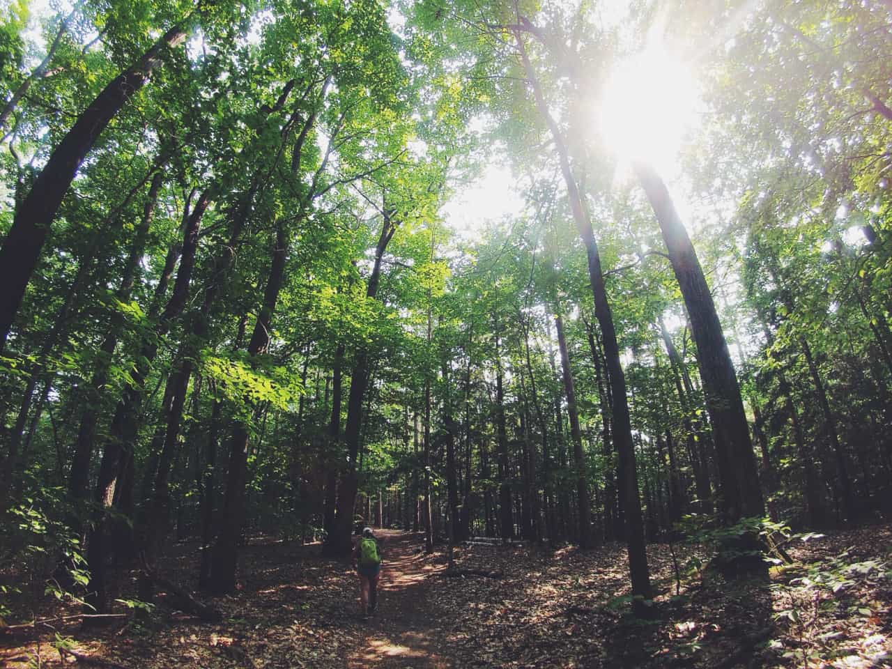 forest hike