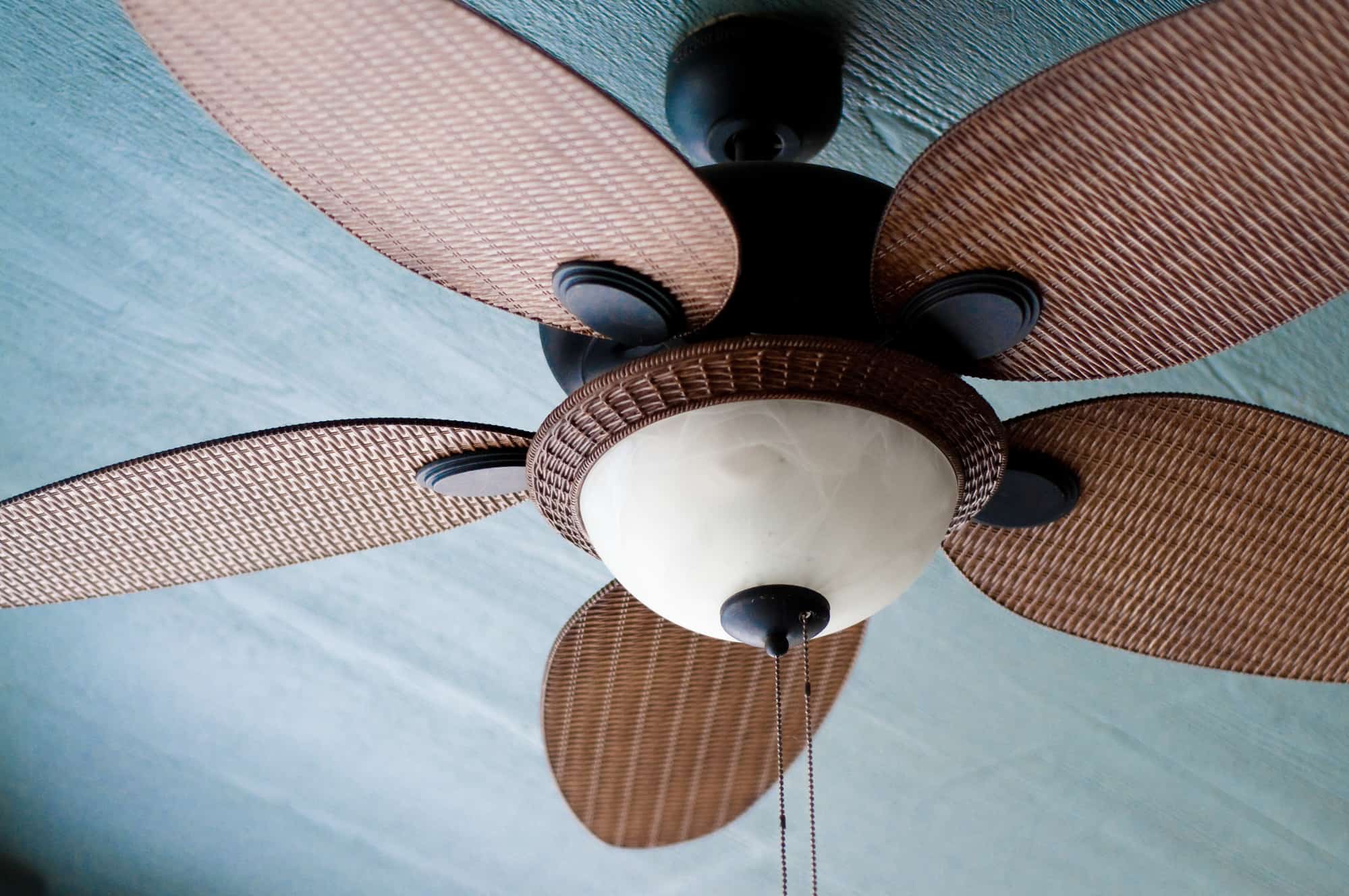 Ceiling fan